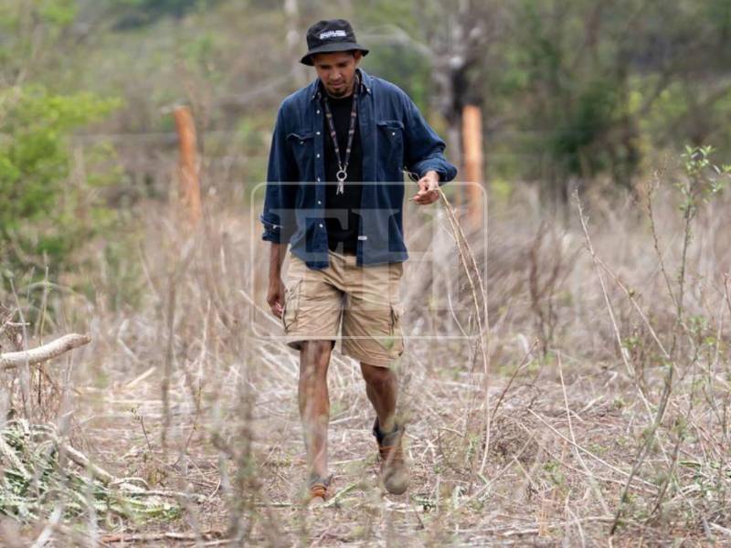 Getsel Montes: “Al retirarme pienso dedicarme a la agricultura, el café y el ganado”