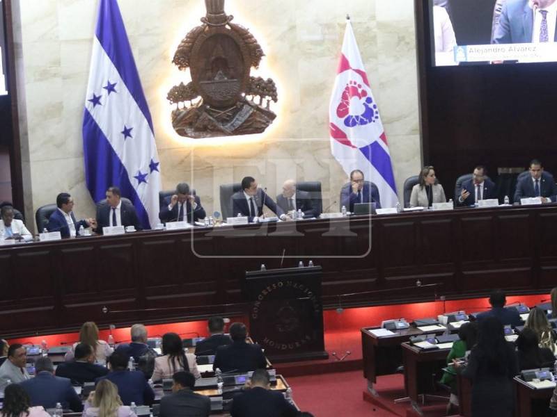 La bancada nacionalista instó a mantener la paciencia legislativa para consolidar un texto unificado que prevenga crisis energéticas en el mediano y largo plazo.
