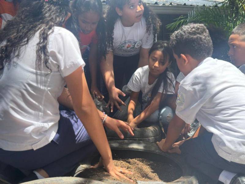Escolares del Centro de Educación Básica Ramón Amaya Amador, elaboran su huerto escolar.