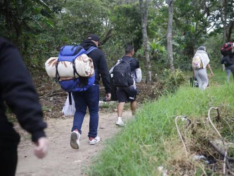 Los migrantes habían sido reportados como desaparecidos entre 2016 y 2023 en Chiapas, estado mexicano fronterizo con Guatemala.