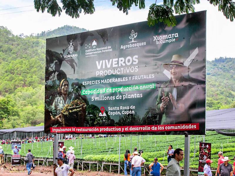 En Santa Rosa de Copán, el proyecto promete una capacidad productiva de 5 millones de plantas.