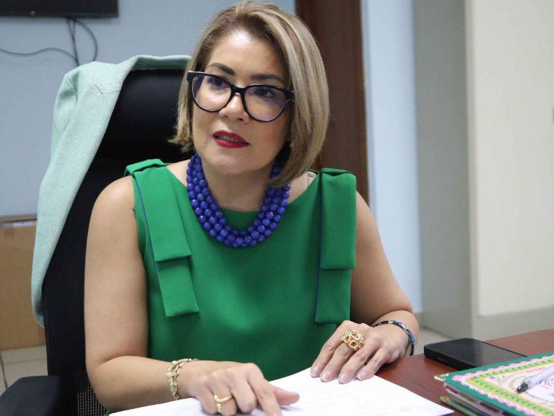 La abogada Karen Yadira Martínez, actual directora nacional de Procuración Judicial de la PGR, confirmó las 26 demandas contra el Estado que representan 1,131 millones de lempiras.