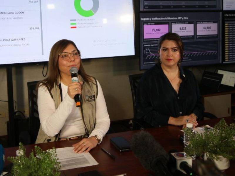 Las consejeras del CNE, Ana Paola Hall y Cossette López, presentaron sus licencias al Congreso Nacional para tener un puesto en el servicio exterior.