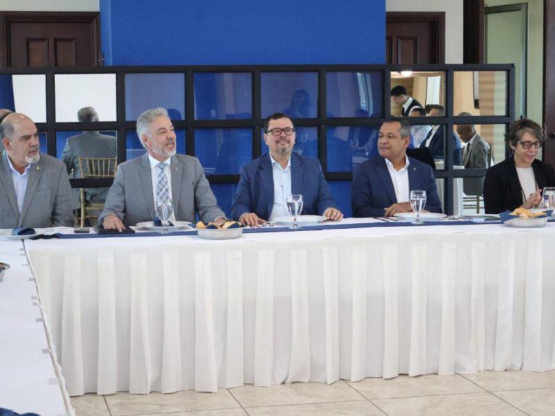 Autoridades de Honduras y Brasil se reunieron para fortalecer la cooperación entre ambas naciones en el sector agrícola.