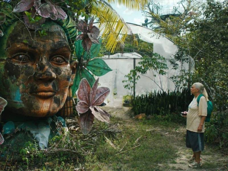 O Último Azul se encuentra entre las películas preseleccionadas para el Oscar 2026, consolidando su reconocimiento global.