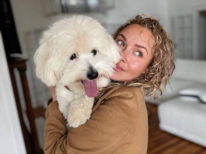Nuevos movimientos policiales se registraron en la residencia familiar de Brian Hickerson, pareja de Hayden Panettiere, mientras avanza la investigación sobre las circunstancias del fallecimiento de la actriz.