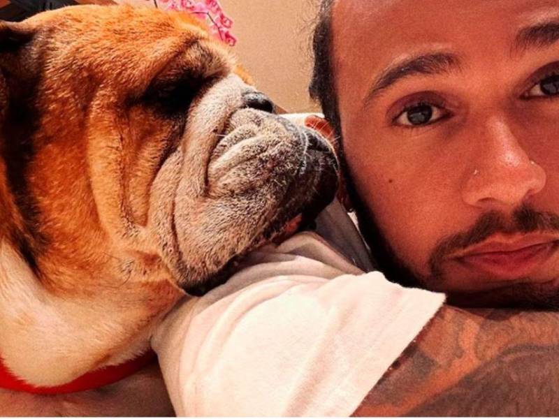 Otra de las imágenes del piloto junto a su amado perro Roscoe. “Perdí a mi mejor amigo”.