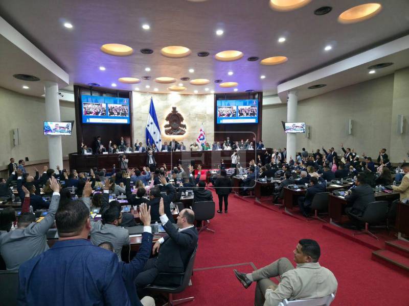 La ley fue aprobada este martes 10 de febrero en la sesión del Congreso Nacional.