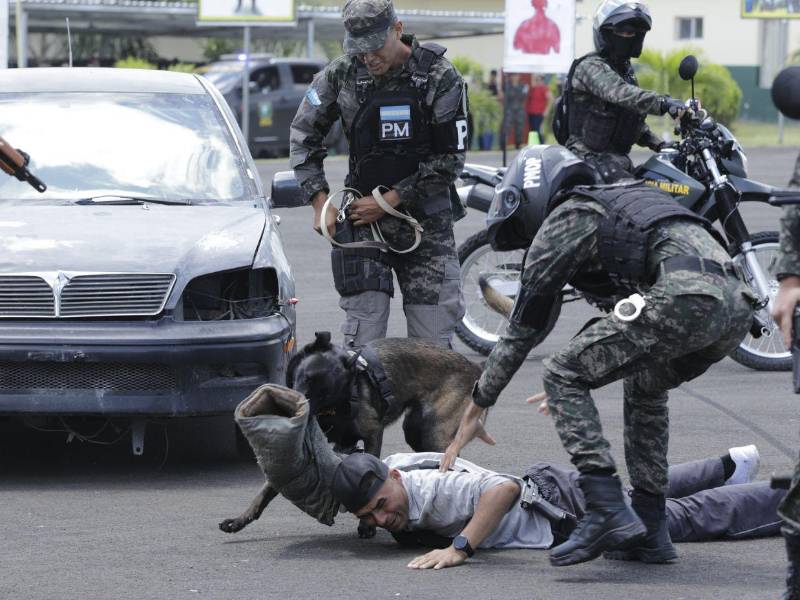 Según las autoridades, el fin del Batallón Canino es enfrentar al crimen organizado a nivel nacional.