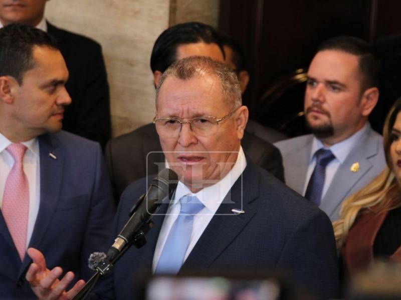 El ministro de Seguridad brindó algunos detalles tras la reunión con el Congreso Nacional.