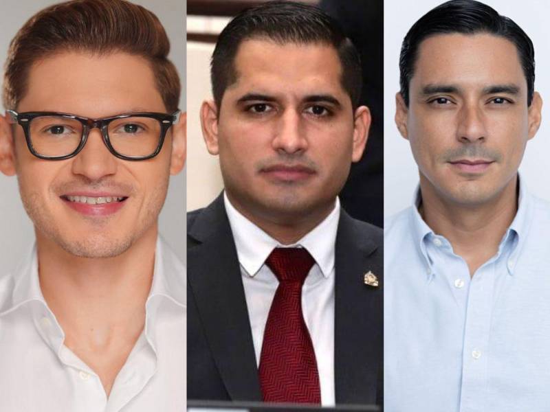 La inteligencia artificial (ChatCGP) seleccionó a los candidatos a diputados más atractivos dentro del listado de aspirantes que, según resultados preliminares del 4 de diciembre a las 4:25 p. m., se perfilan para integrar el Congreso.