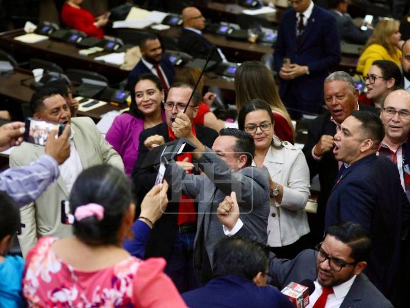 La bancada de Libertad y Refundación (Libre) mantienen su postura en contra de las reformas al sector energético, sosteniendo que estas llevarán a la privatización de la ENEE.