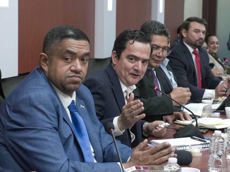 La comisión comenzará con intensas jornadas de socialización la próxima semana.