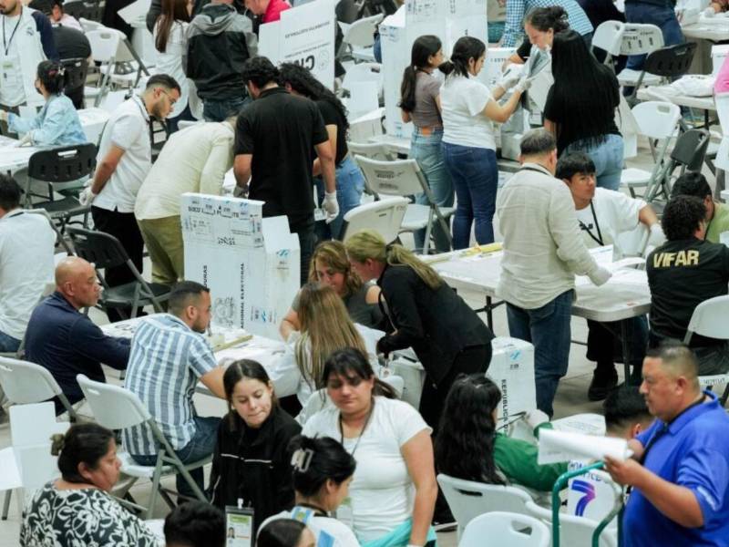 El Congreso Nacional no puede interferir en la labor del Consejo Nacional Electoral.