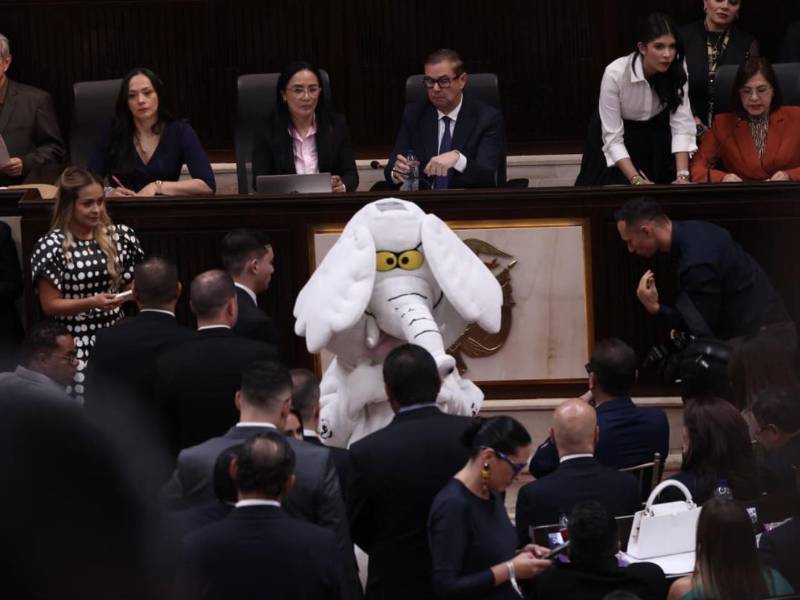 Legislación. El congresista del partido Alianza Social Independiente, Luis Carlos Rúa, llegó con un disfraz de elefante blanco a la inauguración, la tarde del lunes, del Congreso de Colombia para el período 2026-2030. (2255423)