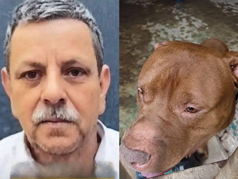 La Dirección de Medicina Forense del Ministerio Público confirmó los resultados preliminares de la autopsia practicada a Alex Alfonzo Maldonado, de 75 años, quien murió tras ser atacado por su perro Zeus. ¿Qué revela el informe? Aquí los detalles.