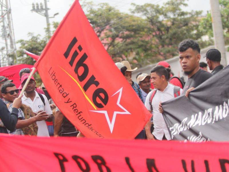 Banderas, pancartas y consignas fueron parte del ambiente en la marcha hacia Casa Presidencial.