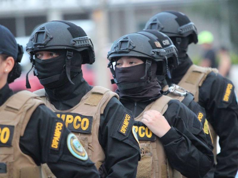 La Secretaría de Seguridad anunció la eliminación de la Dipampco debido a denuncias interpuestas por pobladores. Los casos son investigados, según dijeron.