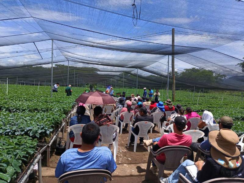 Por falta de pago del gobierno se quedan sin empleo 1,000 personas en proyecto ambiental
