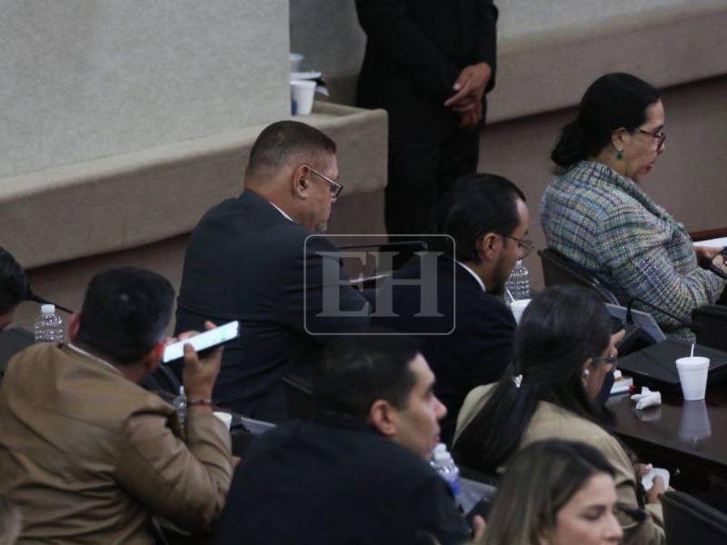 En el curul de Cuéllar se encuentra su compañero Marco Ramiro Lobo.