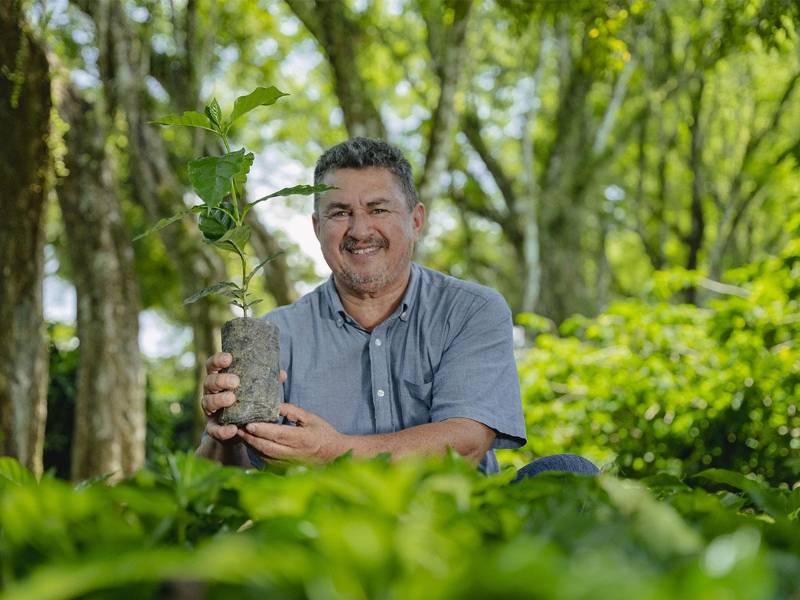 Innovación en el sector cafetalero hondureño liderada por USAID, a través del proyecto Agronegocios Sostenibles y Aruco.