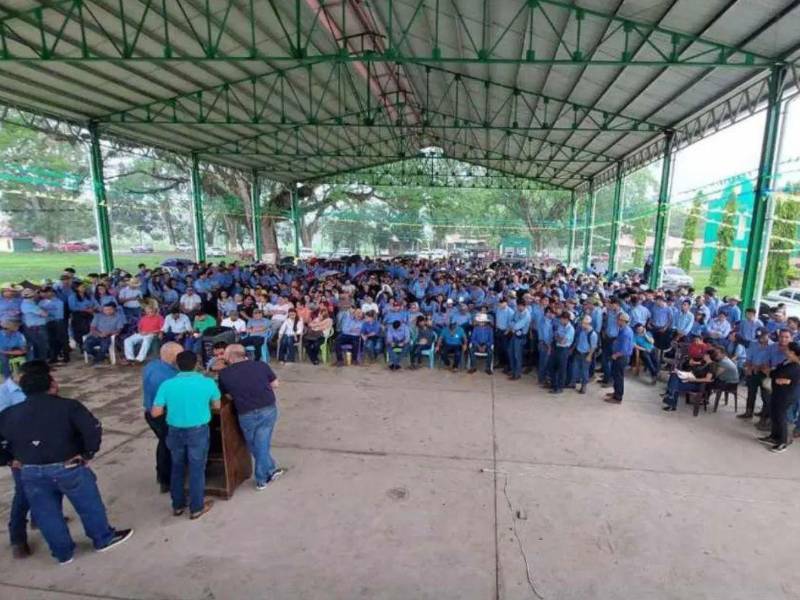 La crisis de ingobernabilidad y el caos administrativo en la Unag también golpea fuertemente el área académica a tal grado que algunos títulos extendidos presentan problemas de legalidad.