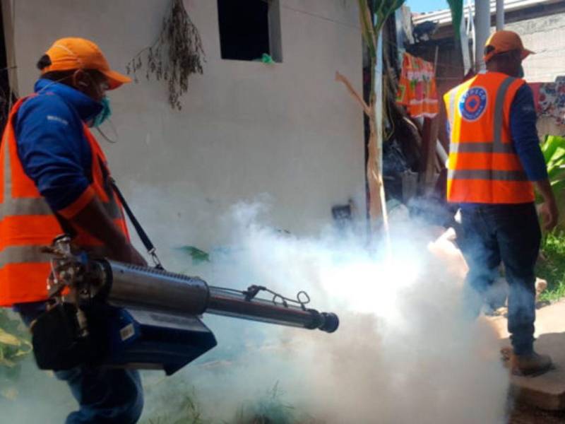 Más de 3,500 viviendas serán fumigadas contra el dengue en la capital. Autoridades pidieron a la población permitir el ingreso solo al personal de salud debidamente identificado.