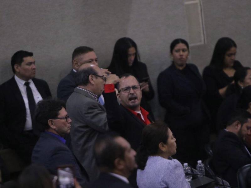 La bancada de Libre interrumpió la sesión del Congreso Nacional en rechazo al dictamen de la nueva Ley General de la Industria Eléctrica.