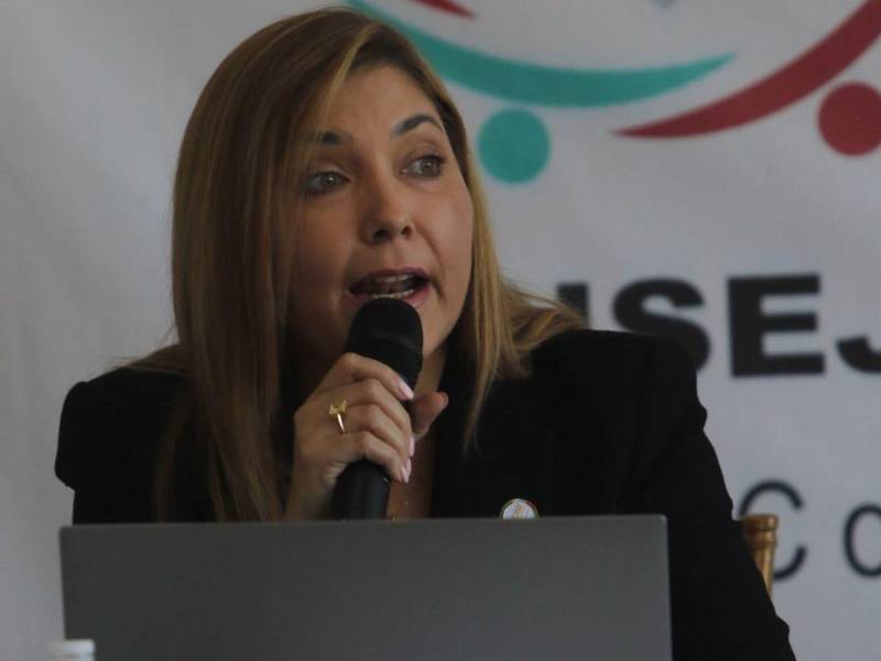 Ana Paola Hall señaló a los partidos Libre y Liberal de detener el proceso de escrutinio especial una vez más.