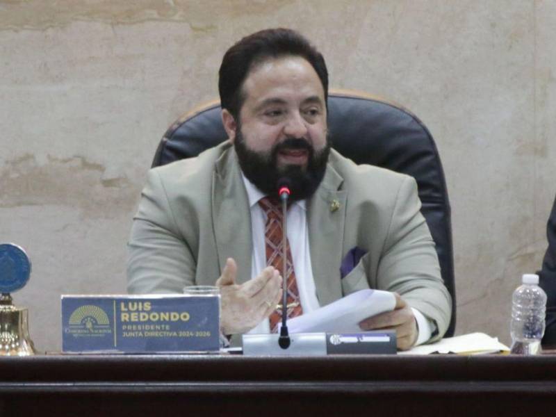 Luis Redondo defendió las subvenciones y sostuvo que la ley faculta al Congreso para autorizar ese tipo de erogaciones.