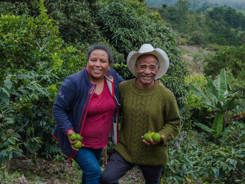 Más de 89,000 personas se han visto beneficiadas por la cooperación internacional de Swisscontact.