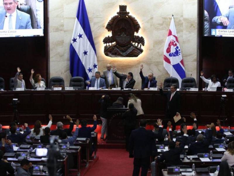 El Congreso Nacional aprobó la Ley de Fortalecimiento y Protección al Sector Agroindustrial y el pasado 26 de junio fue publicada en el Diario Oficial La Gaceta.