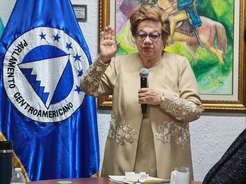 Gutiérrez asumirá el cargo como parte de la bancada hondureña que representa al país en el organismo político regional.