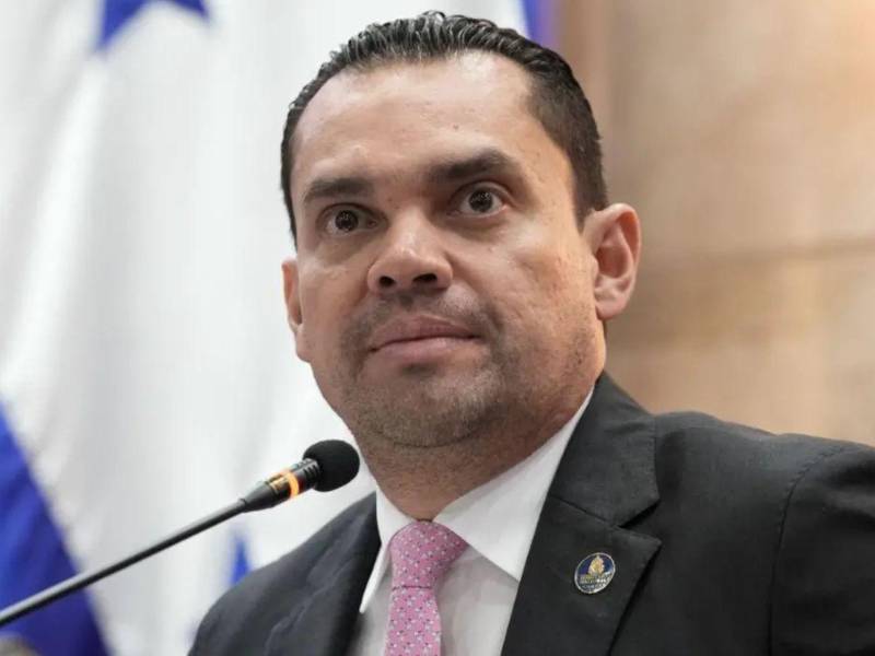Tomás Zambrano confirmó que la propuesta de reforma a la Ley Electoral será presentada la próxima semana.