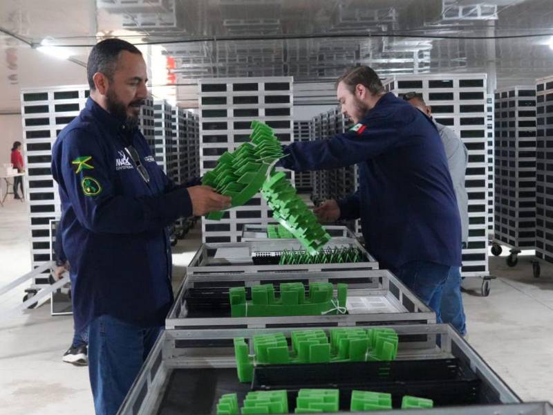 Proyectos para la dispersión de moscas contra el gusano barrenador también es financiado por el gobierno de Estados Unidos.