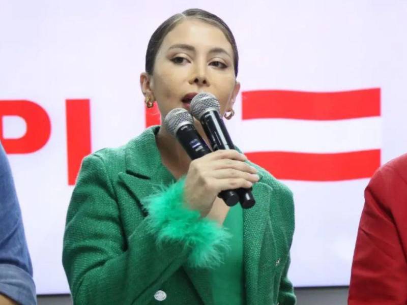 Iroshka Elvir pidió al CNE dar trámite a recursos del Partido Liberal y abrir urnas para garantizar transparencia en medio de la tensión postelectoral.