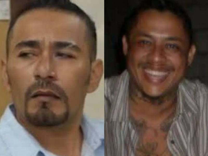 Estados Unidos endureció su ofensiva contra la cúpula de la Mara Salvatrucha (MS-13) al elevar a 10 millones de dólares la recompensa por información que permita localizar y capturar al hondureño Yulan Adonay Archaga Carías, conocido como “El Porky”, considerado uno de los fugitivos más buscados por las autoridades federales.