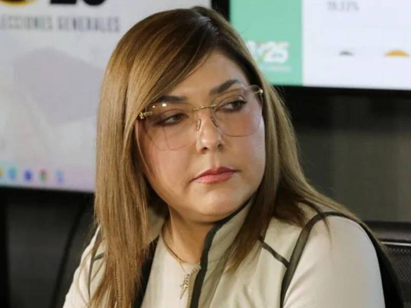 Con más de 900 actas presidenciales ya procesadas, el CNE aseguró que el escrutinio especial continúa avanzando pese a las dificultades del proceso electoral.