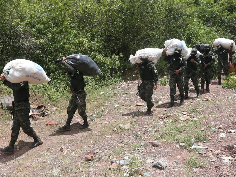 Los decomisos de cocaína disminuyeron en los últimos años.
