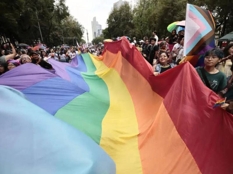 Las personas LGTBI enfrentan enormes barreras para disfrutar de una vida plenamente libre, y que durante años las leyes y políticas públicas no han respondido a sus necesidades ni han garantizado su protección.