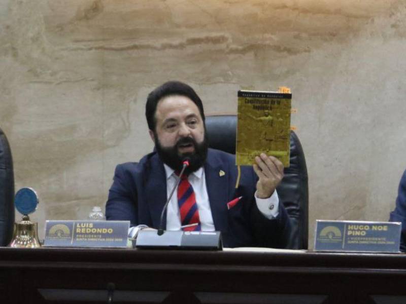 El presidente del Congreso Nacional, Luis Redondo, está violando la Constitución de la República, según expertos.