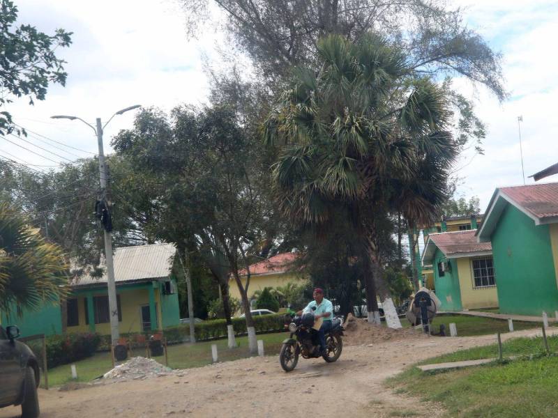 Un total de 242 millones de lempiras para cubrir un arancel de los profesionales de las ciencias agrícolas aprobó Finanzas.
