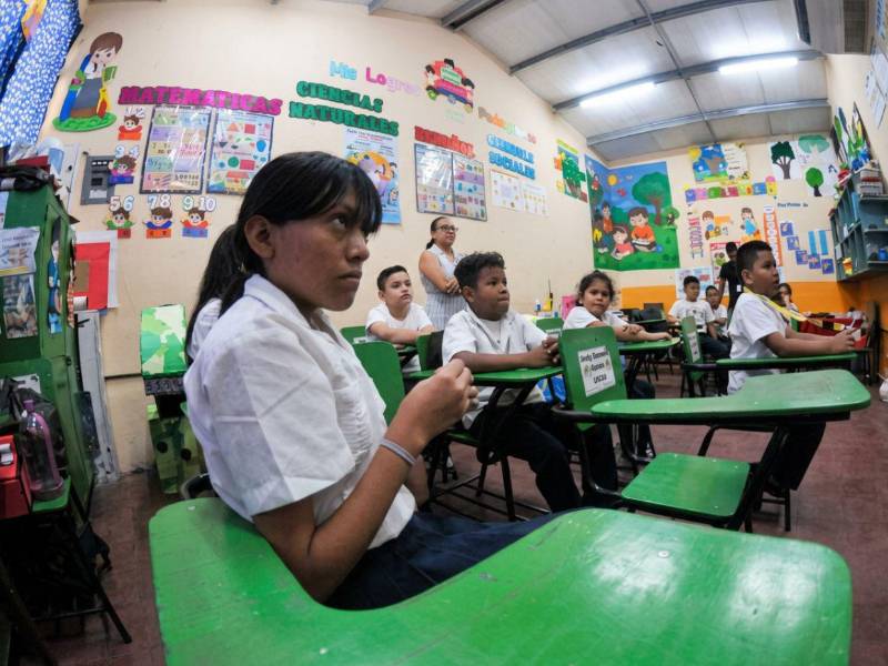 Al conocer más sobre los ecosistemas, los estudiantes podrán categorizar adecuadamente lo que requiera cada área.