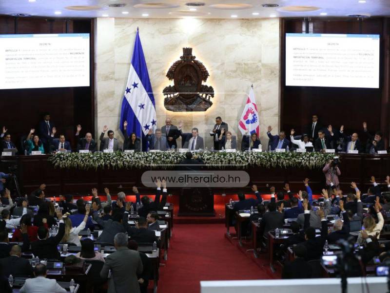 Congreso Nacional aprobó su primer decreto del período 2026-2030: la ampliación por cinco períodos fiscales de los beneficios del Régimen de Importación Temporal (RIT).