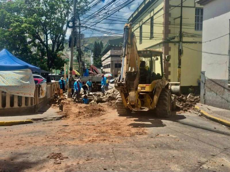 Hasta el momento no ha precisado la fecha en que se habilitará nuevamente la circulación vehicular.