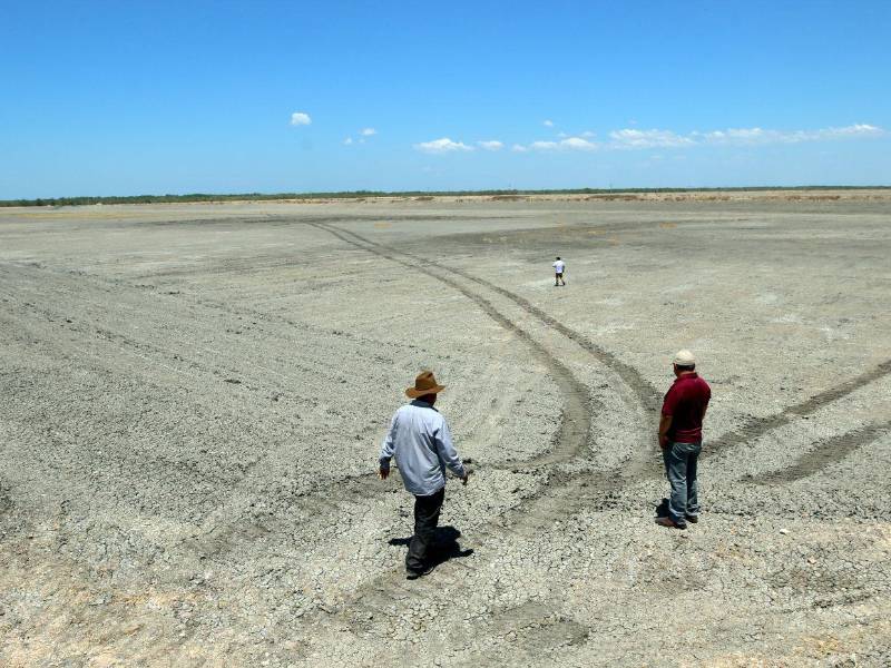 Los productores hacen un llamado al gobierno del presidente, Nasry Asfura, que les ayude a salir de la crisis.