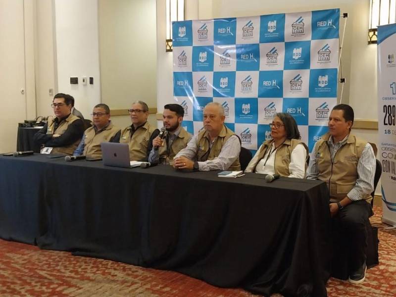 Consorcio de Observadores Electorales afirma que elecciones cumplieron estándares y alta participación