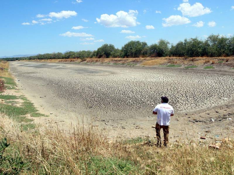 La industria del camarón en la zona sur de Honduras está en riesgo de desaparecer por falta de mercado.