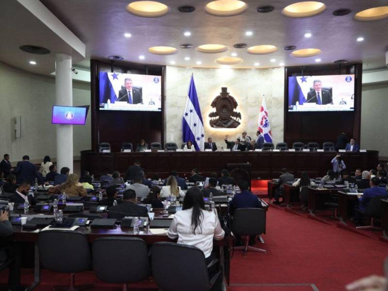 En los próximos días, los diputados del Congreso Nacional tendrán una prueba de fuego cuya respuesta podría impactar en el futuro de las Fuerzas Armadas.