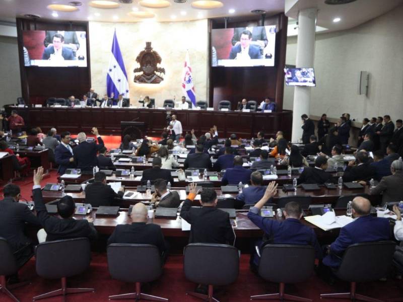 El pleno del Congreso Nacional deberá conocer, discutir y votar las reformas electorales. La sociedad civil y exfuncionarios del CNE dijeron que con eso se busca recuperar la confianza de los hondureños.